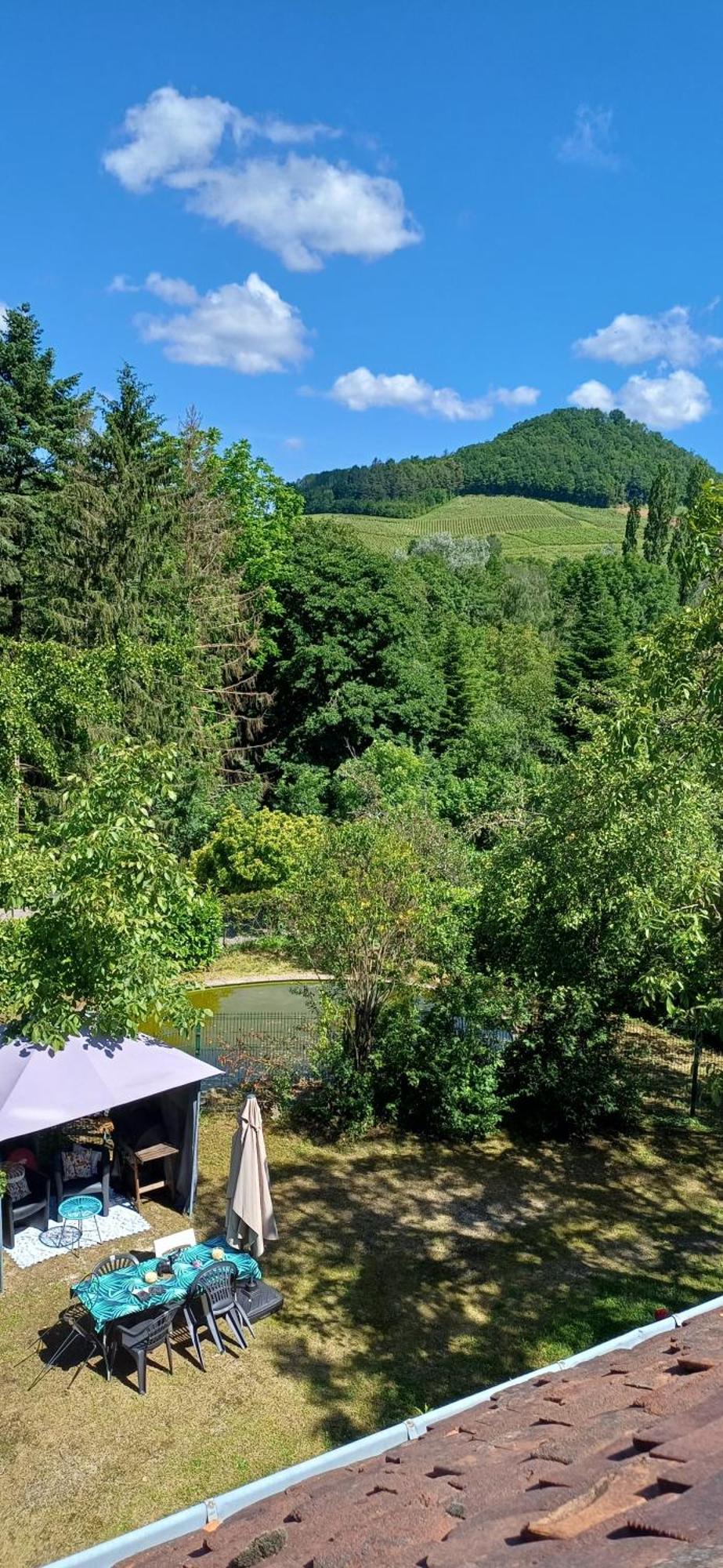 Studio Dans Belle Maison Ancienne Et Jardin Ferme L'Etoile  エクステリア 写真